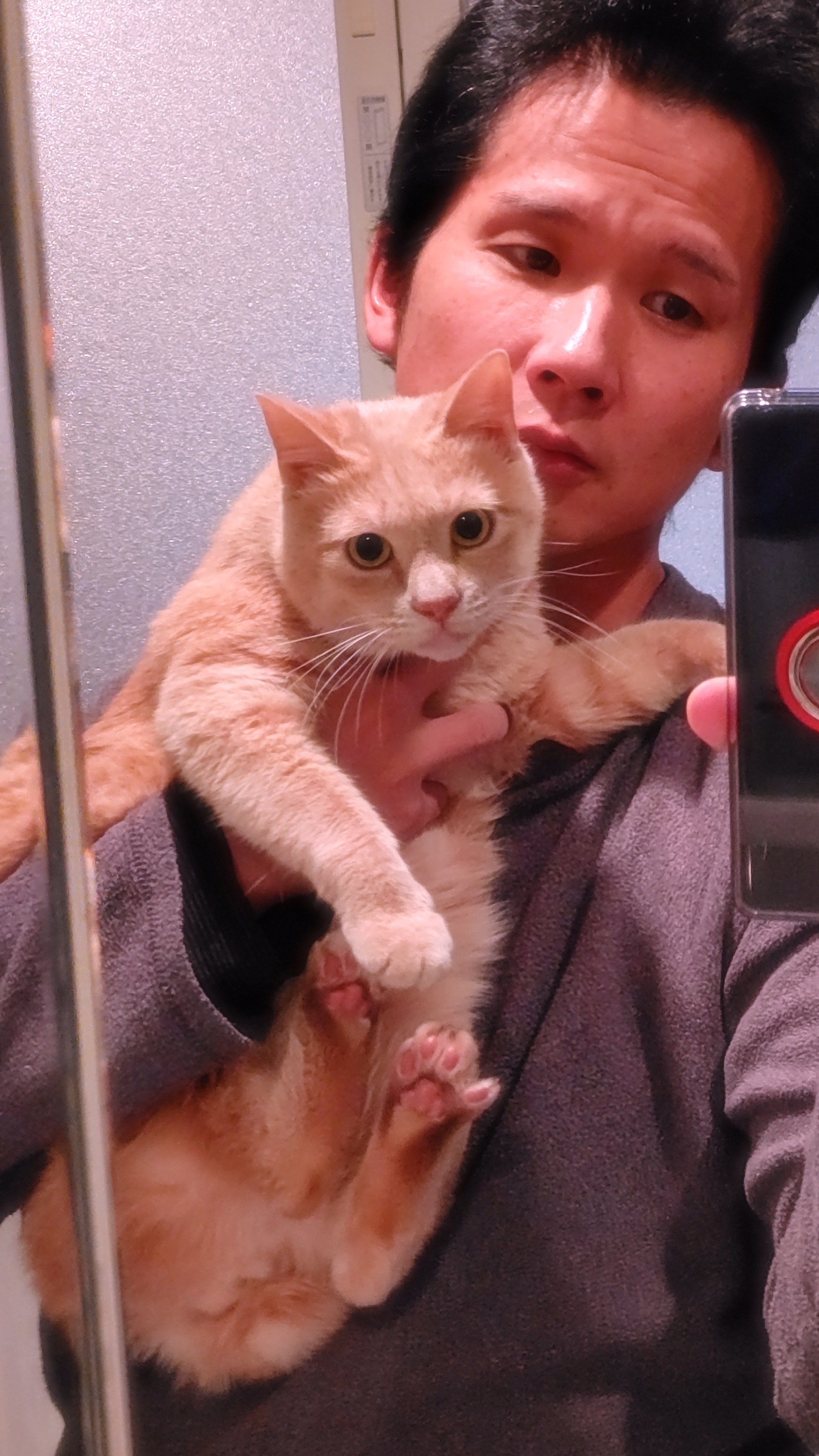 kukuno-cotta すなお