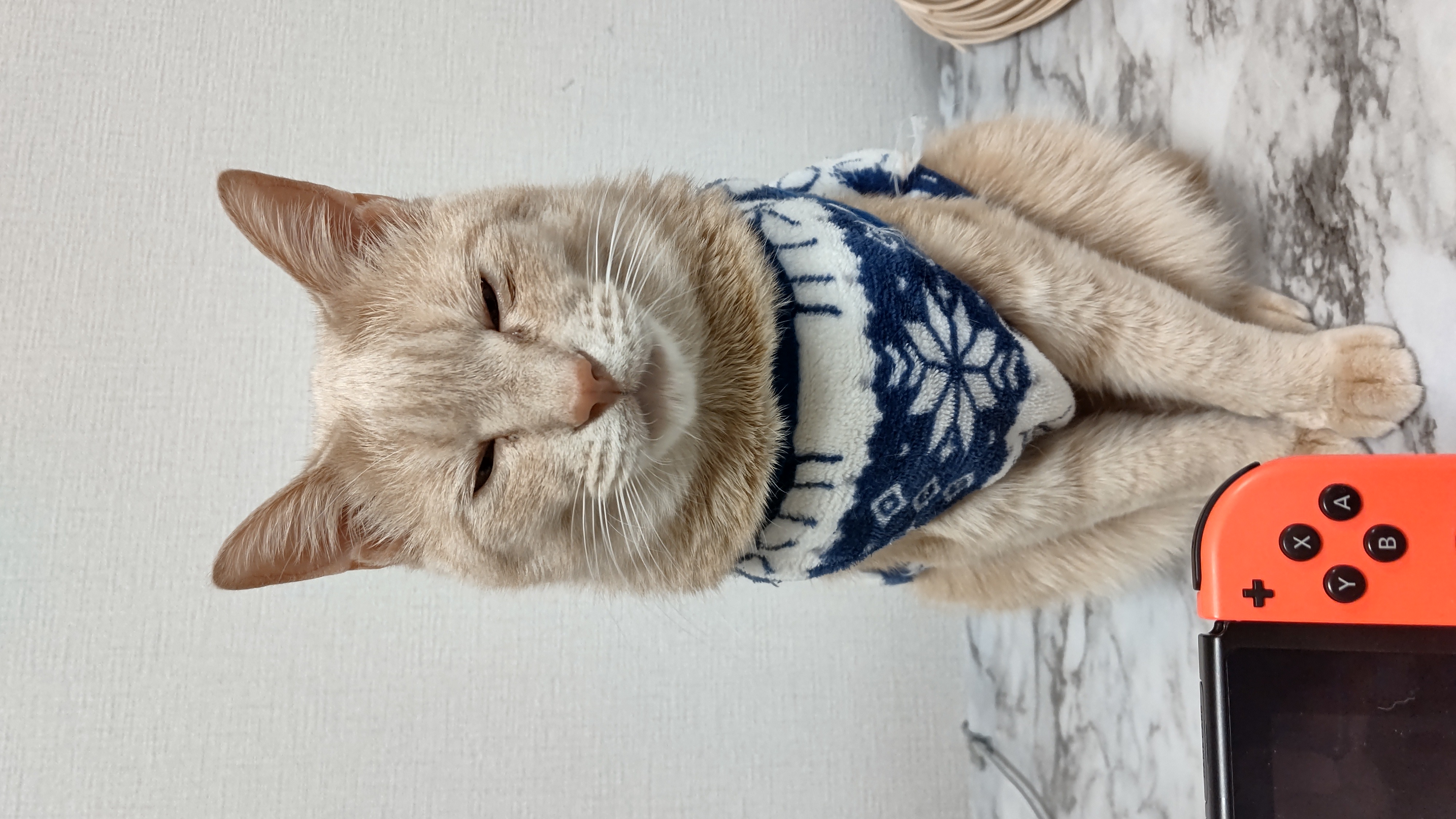 kukuno-cotta すなお